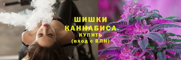 МДПВ Дмитров