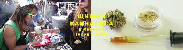 ешки Гусев