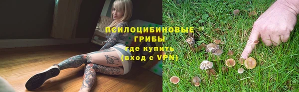 прущие крисы Дмитровск