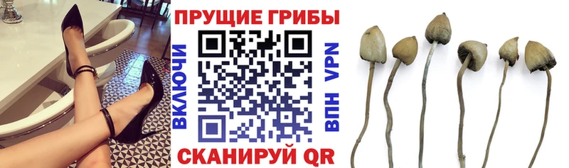 Галлюциногенные грибы MAGIC MUSHROOMS Омутнинск
