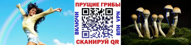 купить наркотики сайты  Омутнинск  Галлюциногенные грибы Magic Shrooms 