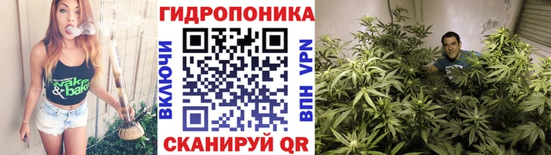 Конопля Bruce Banner  наркошоп  Омутнинск 